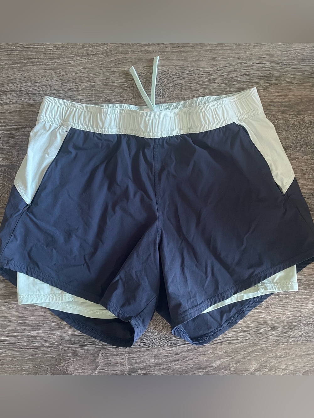 Fair Harbor Colorblocked Corliss Shorts